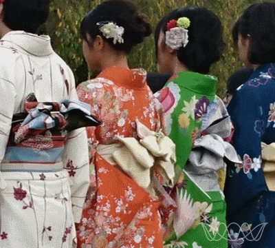 Vier Frauen von hinten in traditionellem, japanischem Kimono. Verscheidene Stoffmuster und Farben. Foto von Regina Steck