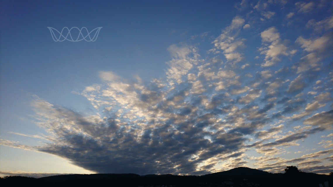 Interessante Wolkenstruktur am Morgenhimmel kurz vor Sonnenaufgang. Wie eine Hand mit vielen Fingern. Foto von Regina Steck