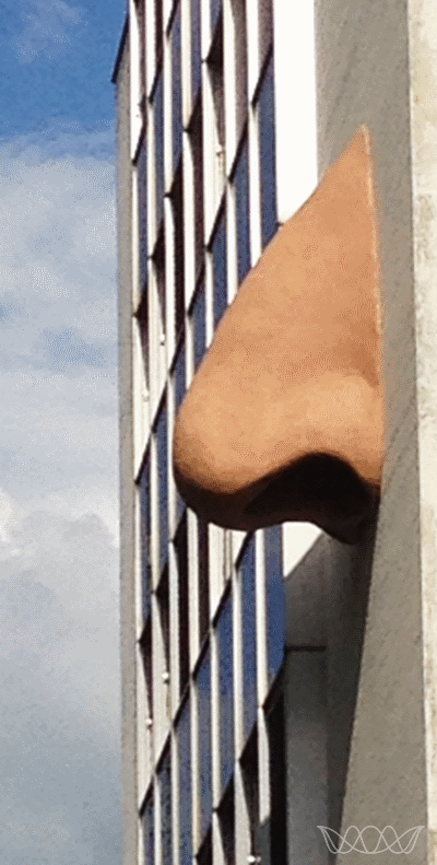 Kunst am Bau: eine mannsgrosse, hautfarbene Nase an der Betonfassade eines Bürogebäudes in Zug. Foto Regina Steck
